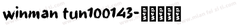 winman tun100143字体转换